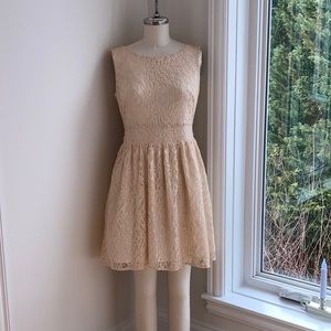 Loft 4p fit and flare dress
